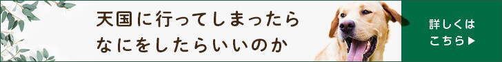 わが子が天国にいってしまったら(アニコムユー)