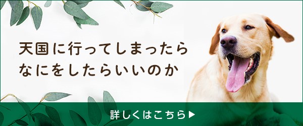 わが子が天国にいってしまったら(アニコムユー)